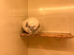 -龙猫仔乐园(惠福东路店)