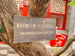 -北京鲁迅博物馆(北京新文化运动纪念馆鲁博馆区)