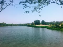 -东郊湿地公园
