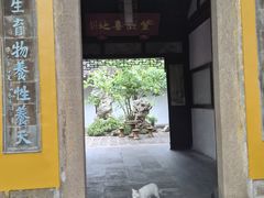 -西园寺素食(西园弄戒幢律寺店)