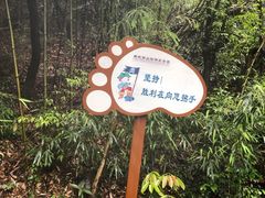 -南武当山景区