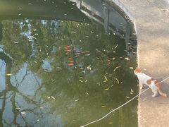 -宝通禅寺