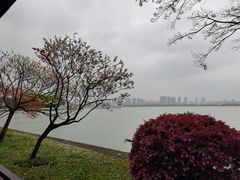 -无锡蠡湖国家湿地公园-蠡园