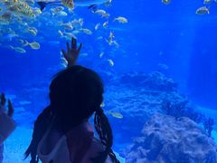-海合安成都极地海洋公园