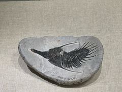-辽宁古生物博物馆