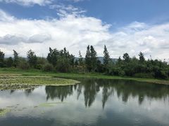 -才村湿地公园