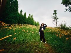 -呈贡滇池生态湿地公园