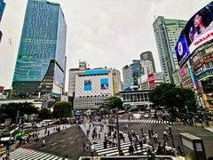 -涩谷区