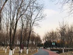 -大兴滨河森林公园