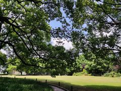 -上海共青森林公园