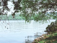 -浙江西子宾馆·瑶园咖啡厅