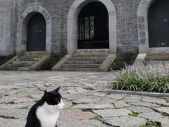 -镇江市南山风景名胜区竹林景区