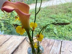 -北马山庄植趣咖啡