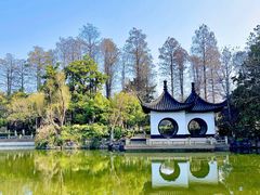 -红梅公园