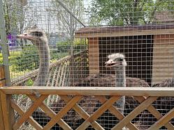 -萌宠亲子动物乐园(槐房万达店)