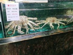 -宝燕壹号(徐汇店)