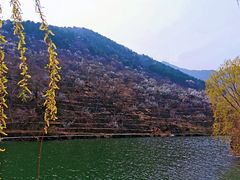 -圣莲山风景区
