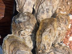 -517烧烤·龙虾·海鲜大排档(万象都荟店)
