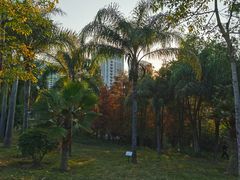 -聚龙山公园