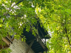 -重庆十八梯传统风貌区