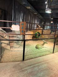 -酷嗒动物文化乐园(cutezoo西溪乐天城店)