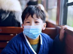 -合肥滨湖国家森林公园