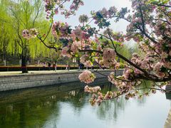 -海棠花溪(元大都城垣遗址公园)