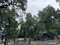 -华山风景区-华阳宫