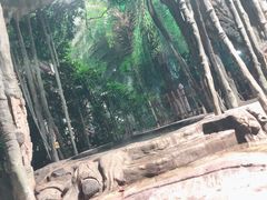 -龙达温泉生态城