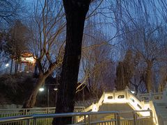 -黄村公园