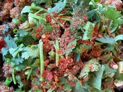 -大众跷脚牛肉馆·非遗传承单位(峨眉山店)