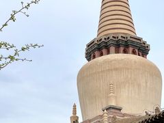 -张掖大佛寺景区