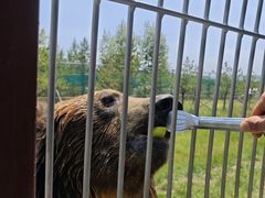 -鄂尔多斯野生动物园