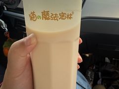 -猫的魔法密林(衣裳街店)