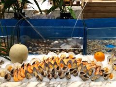 -沈阳和平艾美酒店新食谱西餐厅