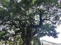 -闽粤南澳总镇府