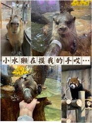 -Zoolung Zoolung动物主题公园(海信广场店)