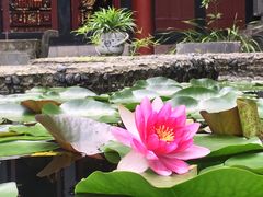 -都江堰普照寺