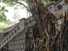 -香港佐治五世纪念公园