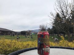 -轻井泽王子购物广场