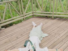 -苍山感通索道