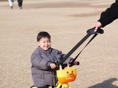 -石家庄市植物园
