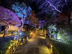 -新高轮格兰王子大酒店