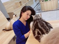 -有猫儿腻咖啡厅.猫咖