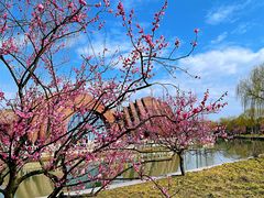 -广富林郊野公园