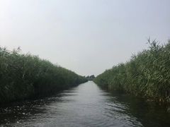-白洋淀景区