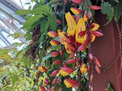 -华南国家植物园-售票处