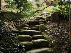 -南山植物园