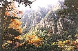 -王顺山国家森林公园