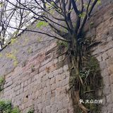 【打卡】｜安达森洋行（旧址）